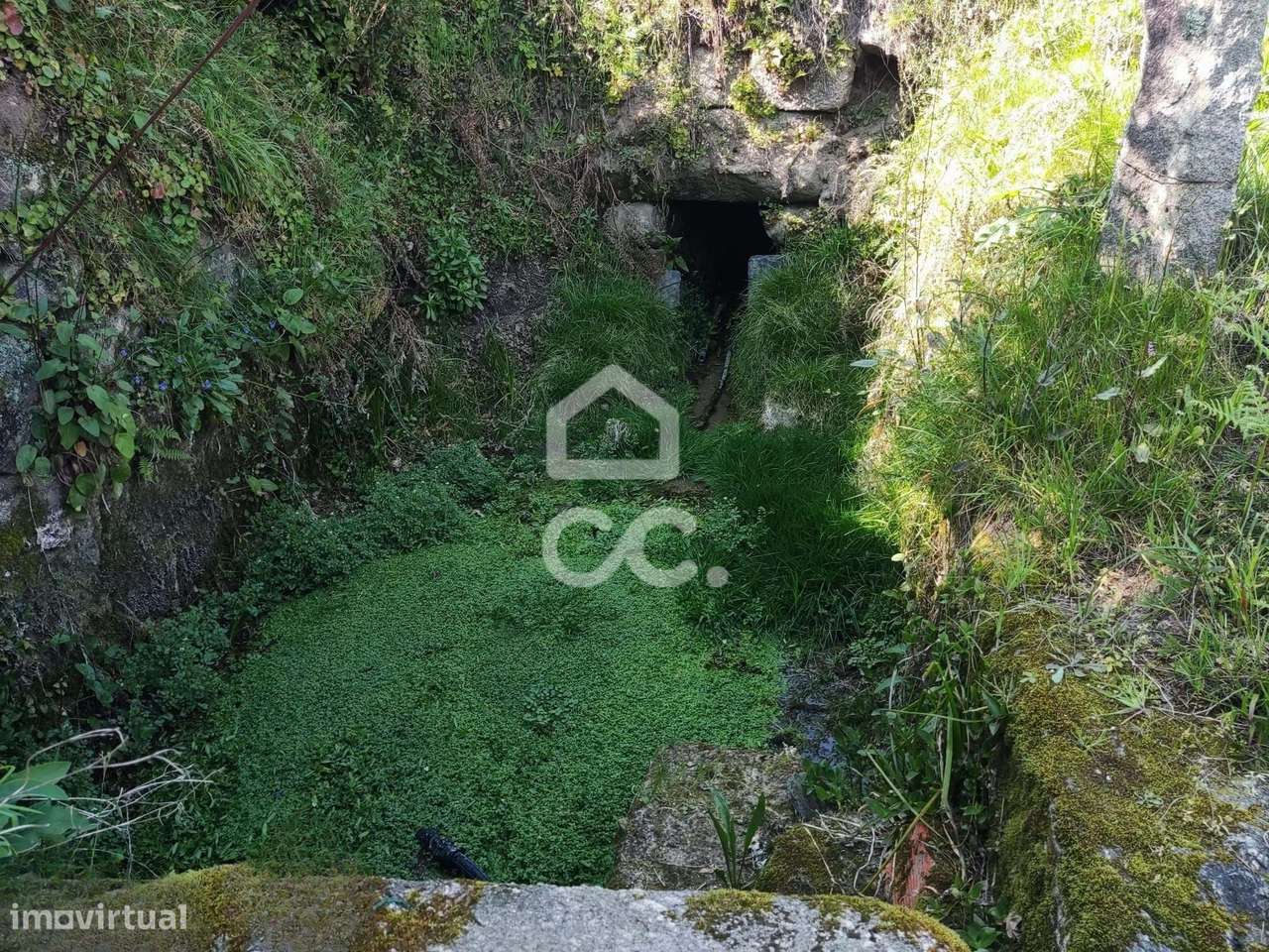 Quinta, Termas de São Vicente, Penafiel-17