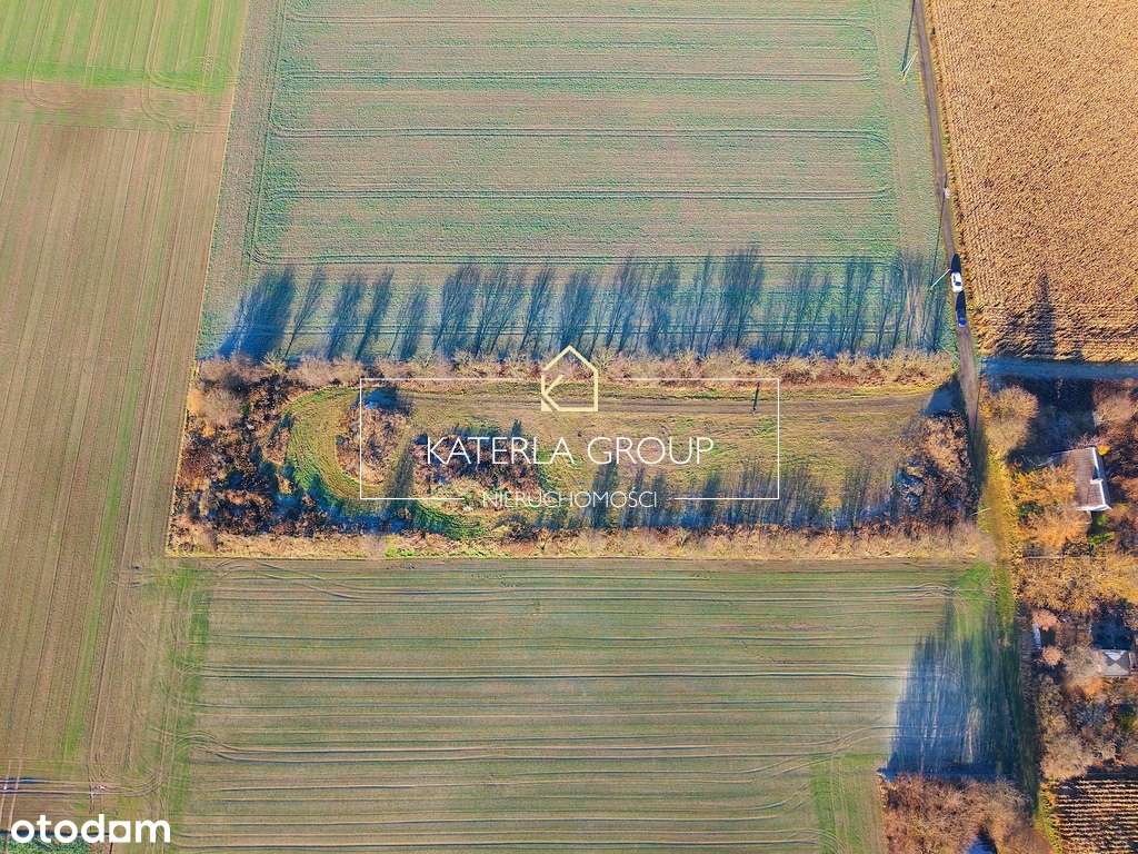 Działka Inwestycyjna 6500 m2 Osielsko - Pełny obrazek: 4/4