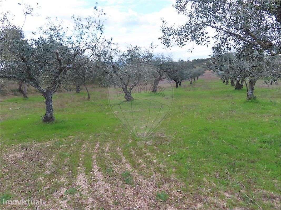 Quinta  para venda - Grande imagem: 4/50