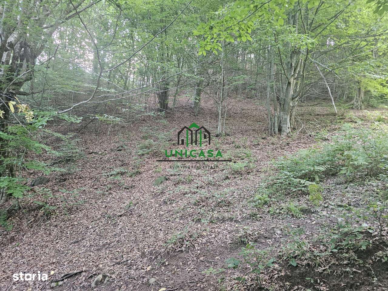 Teren extravilan  cu potential turistic - Brezoi - Imagine principală: 4/4