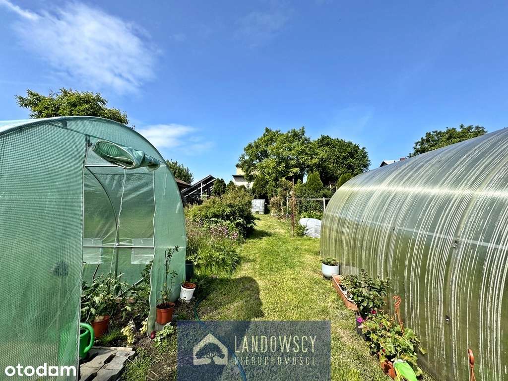 Duża działka inwestycyjna | 45 min od Gdańska-14