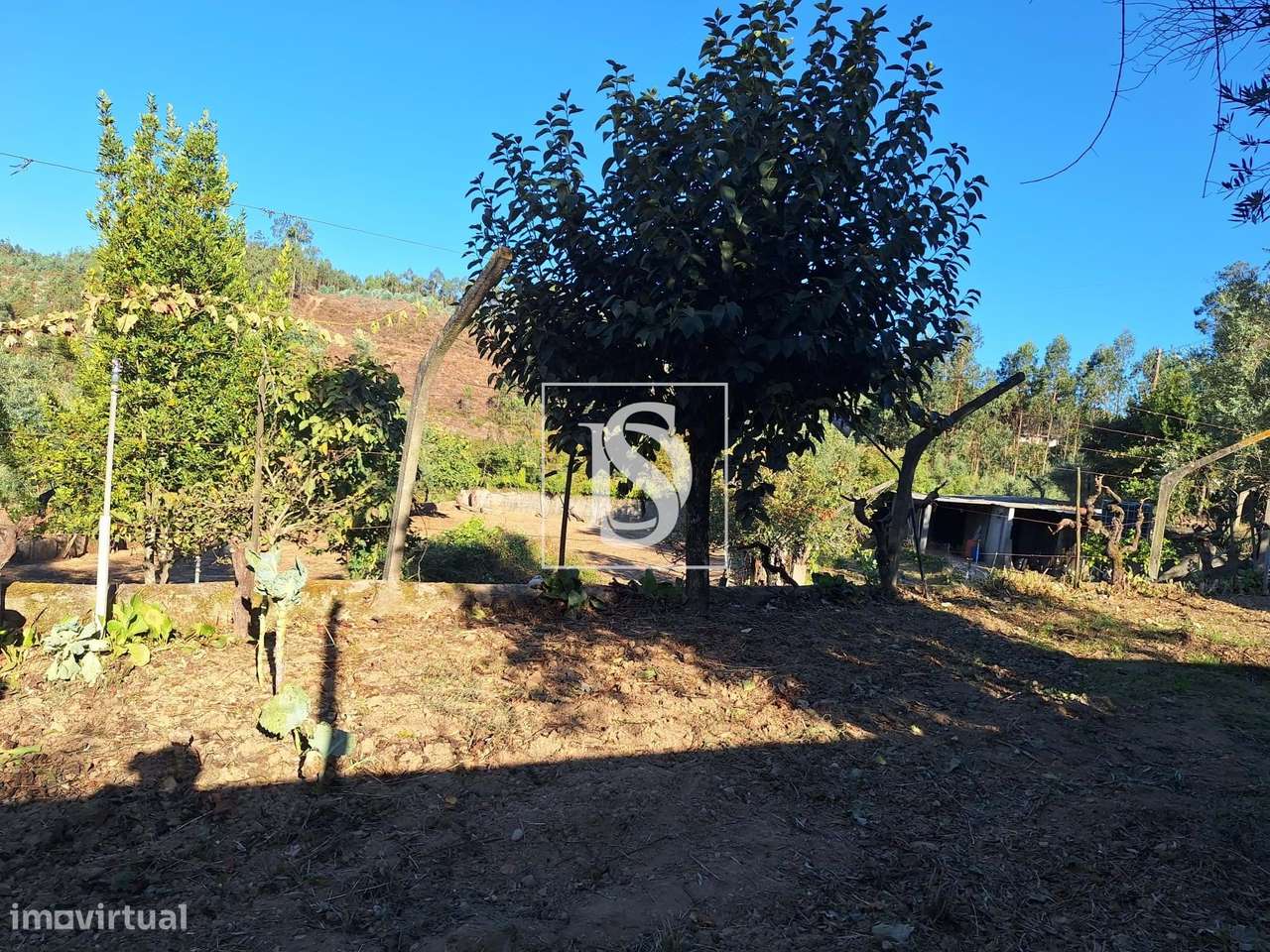 Terreno rústico com 1500m2 nas Sernadas - Grande imagem: 4/23