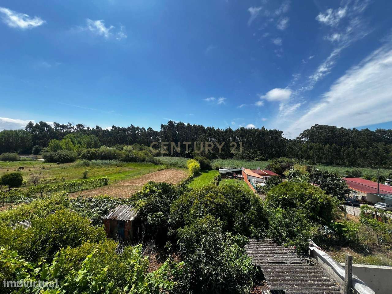 Casa Espetacular em Esgueira com Jardim e Garagem - Grande imagem: 3/34