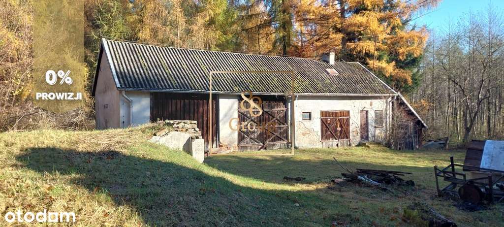 Siedlisko w sercu natury otoczone urokliwym lasem-4