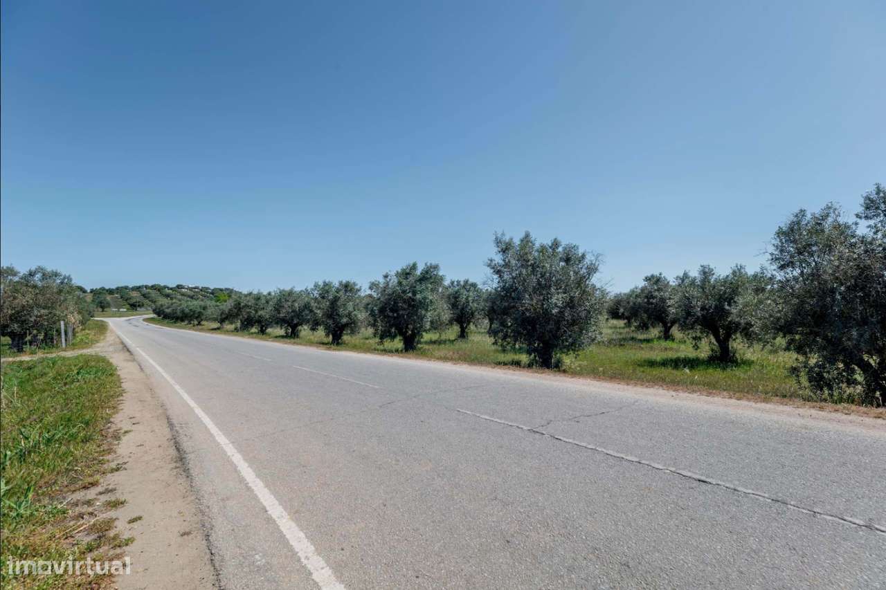 Herdade de 11,1 hectares com moradia T2,PIP favorável para Hotel Rural-16