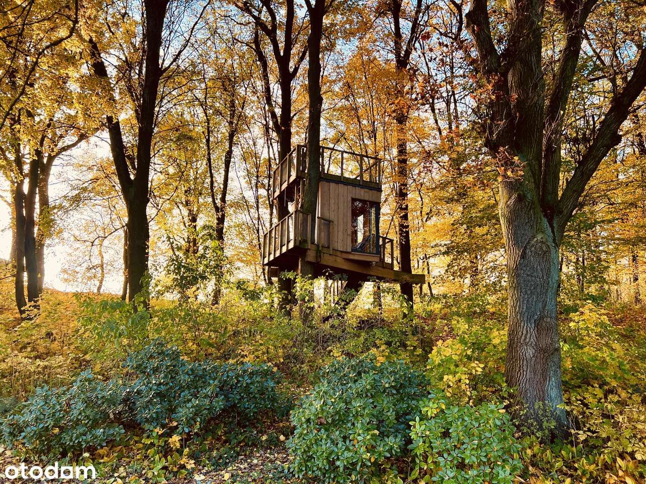 PIĘKNA, UNIKATOWA NA RYNKU POZNAŃSKIM NIERUCHOMOŚĆ-10