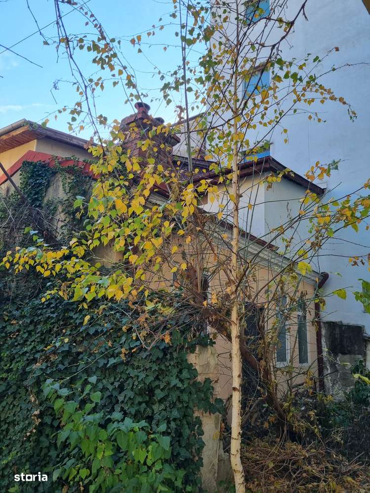 Casă pe parter, poziție premium – perfectă pentru investiție sau birou-4