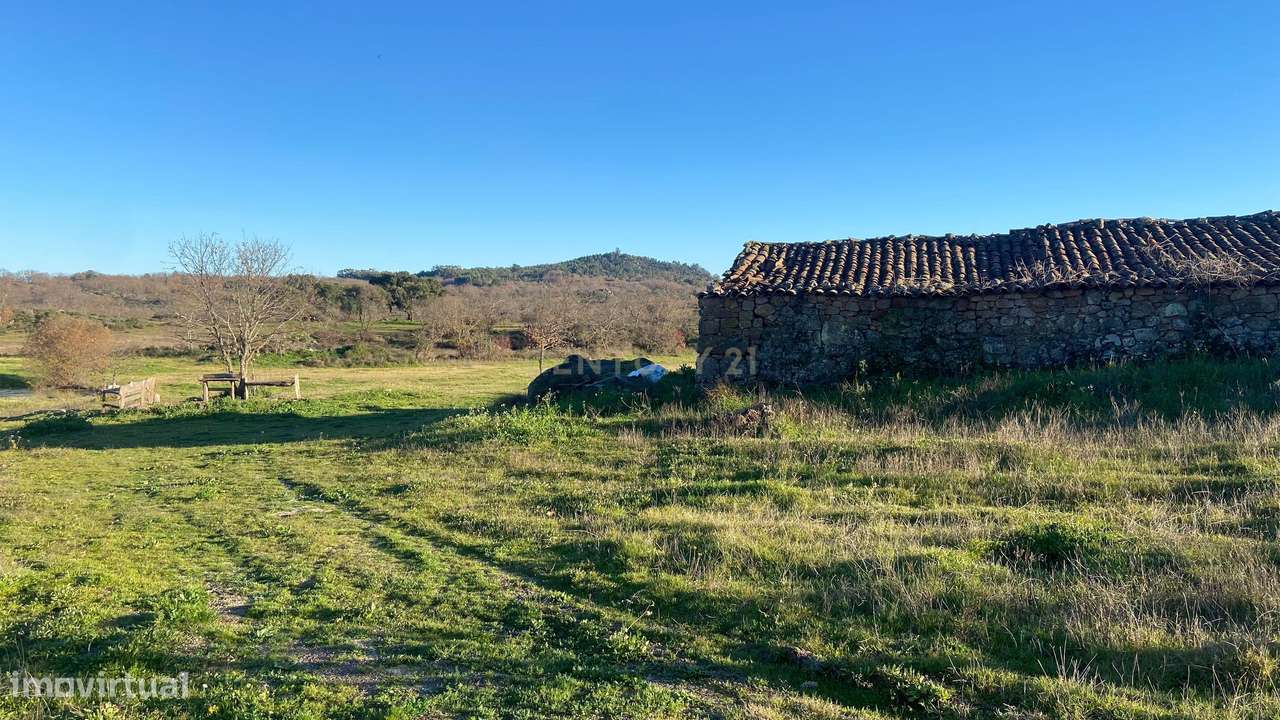 Magnífico terreno rústico com 1,9 hectares - Penamacor - Grande imagem: 4/16