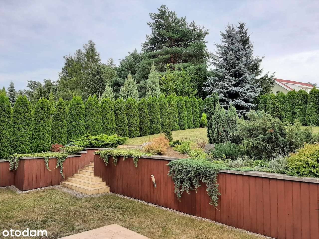 Dom z zadbanym słonecznym ogrodem bezpośrednio od właściciela - Pełny obrazek: 5/18