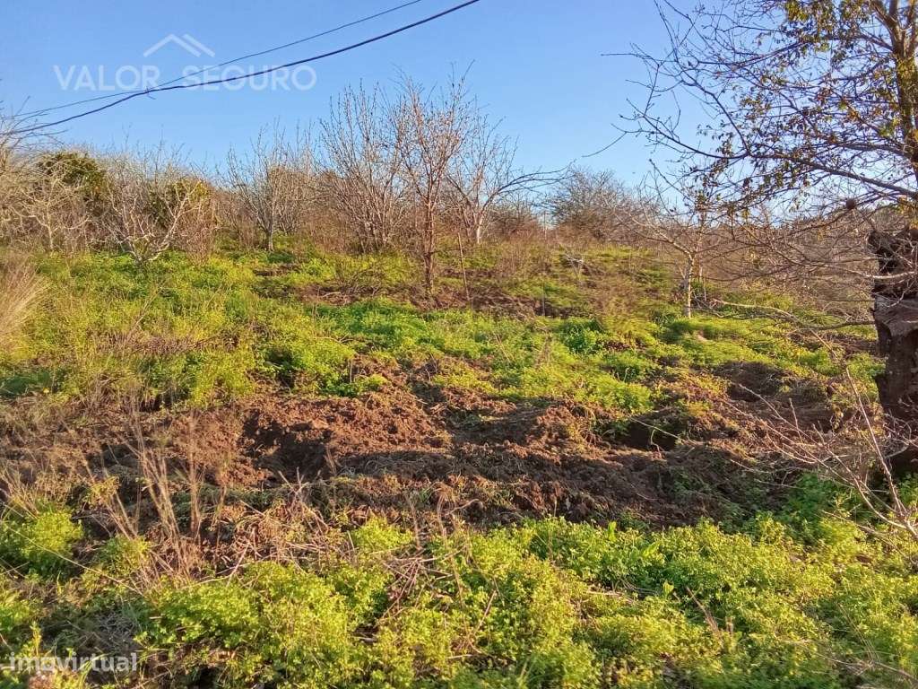 Terreno rústico em Vale Serrão, Pereiro de Palhacana, Alenquer-13