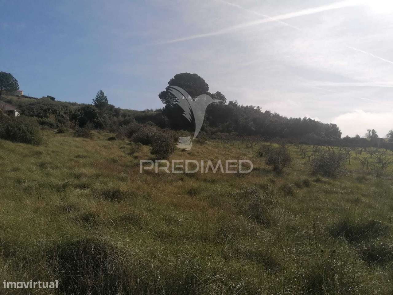 Terreno misto a 4 km de Vila Franca De Xira - Grande imagem: 3/12