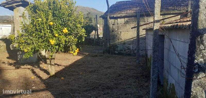 Terreno rural com casa antiga - Grande imagem: 5/11