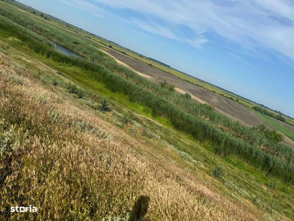 TEREN INTRAVILAN | DUNAVATU DE JOS | DESCHIDERE LA APA - Imagine principală: 2/3