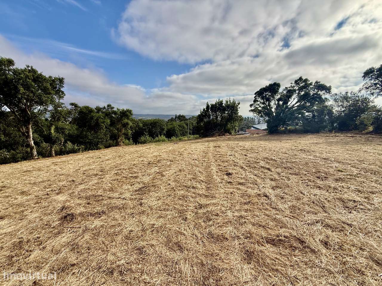 Terreno com vista panorâmica de campo - a 15 min São Martinho do Porto-5