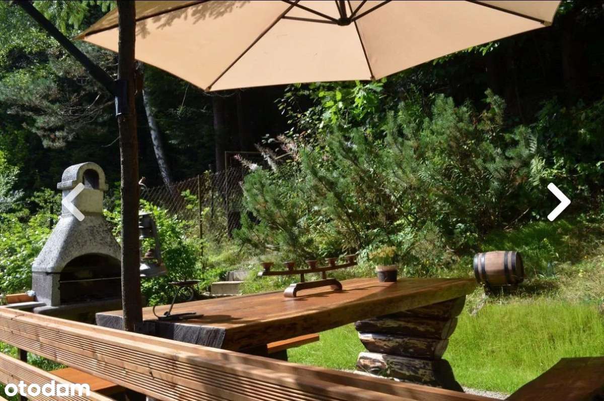 Widok na górę i las - bezpośrednio - Pełny obrazek: 5/16