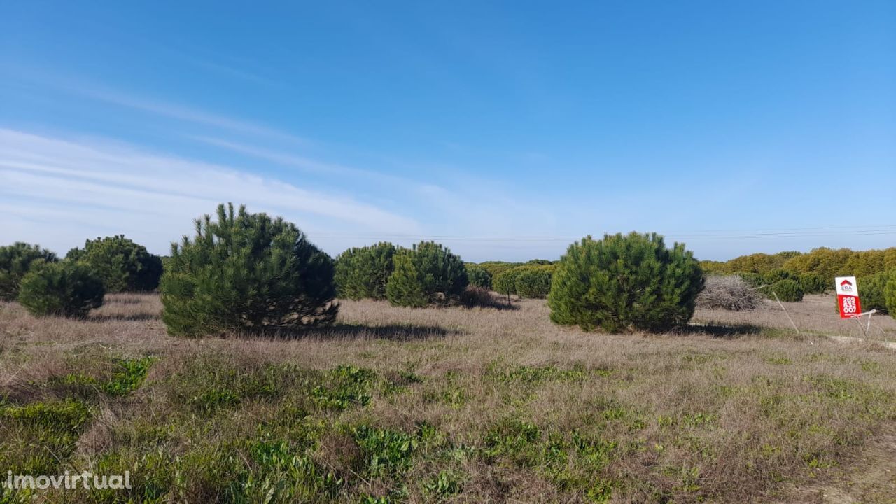 Terreno Rústico com 5000m2, Porto Covo