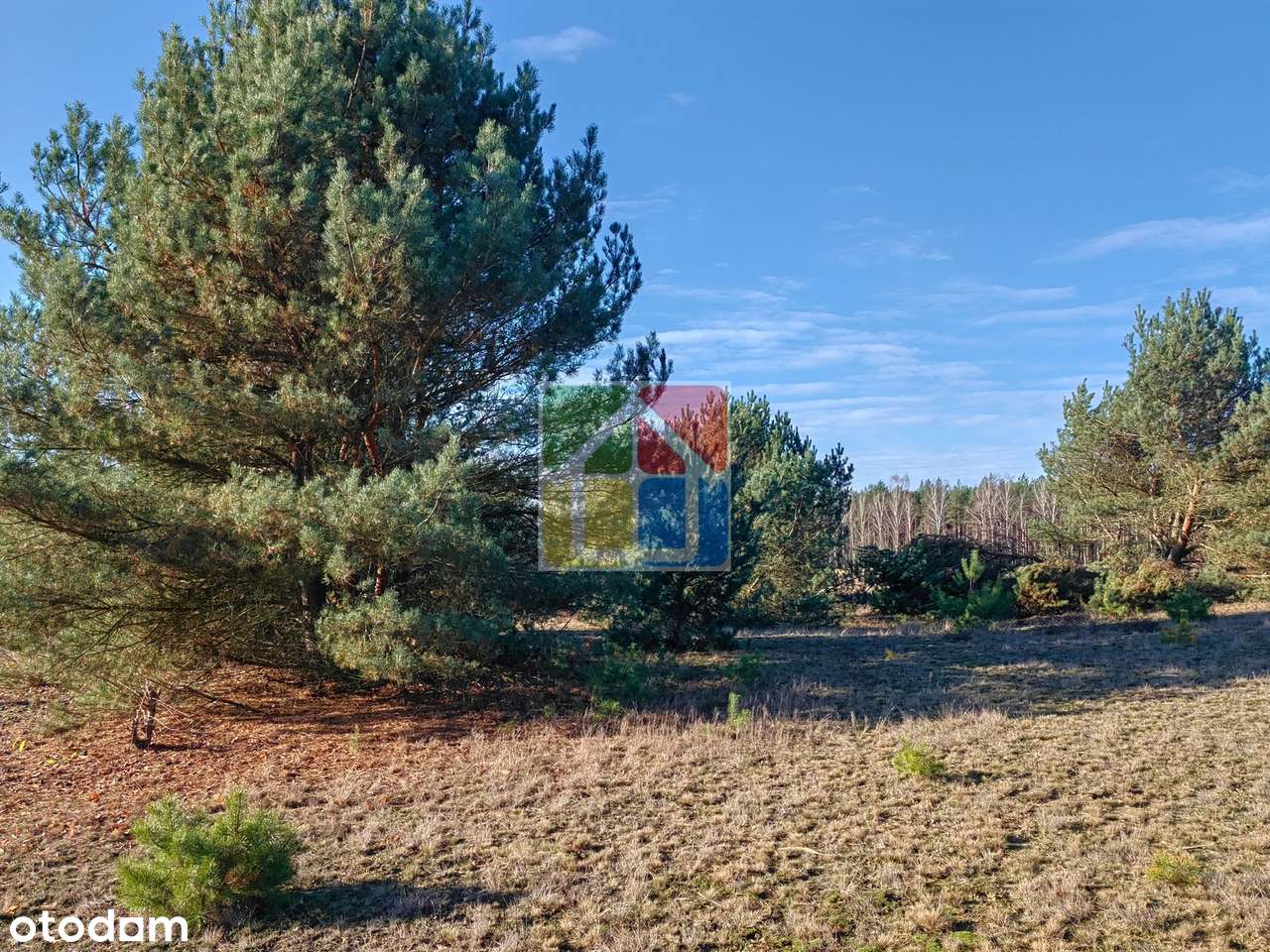 Duża działka z widokiem na jezioro-7