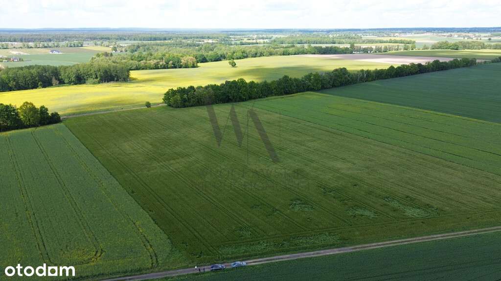 Działka inwestycyjna AG/6 – Cieśle, gmina Oleśnica-8