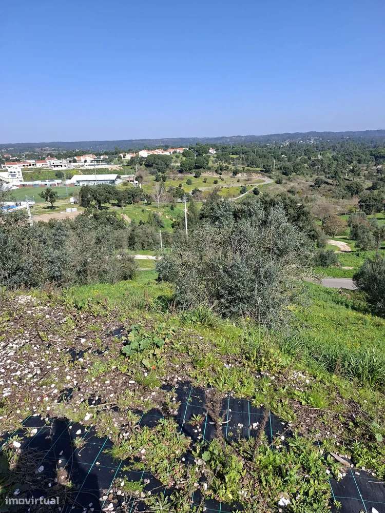 Oportunidade – Lote de Terreno em Montargil-8