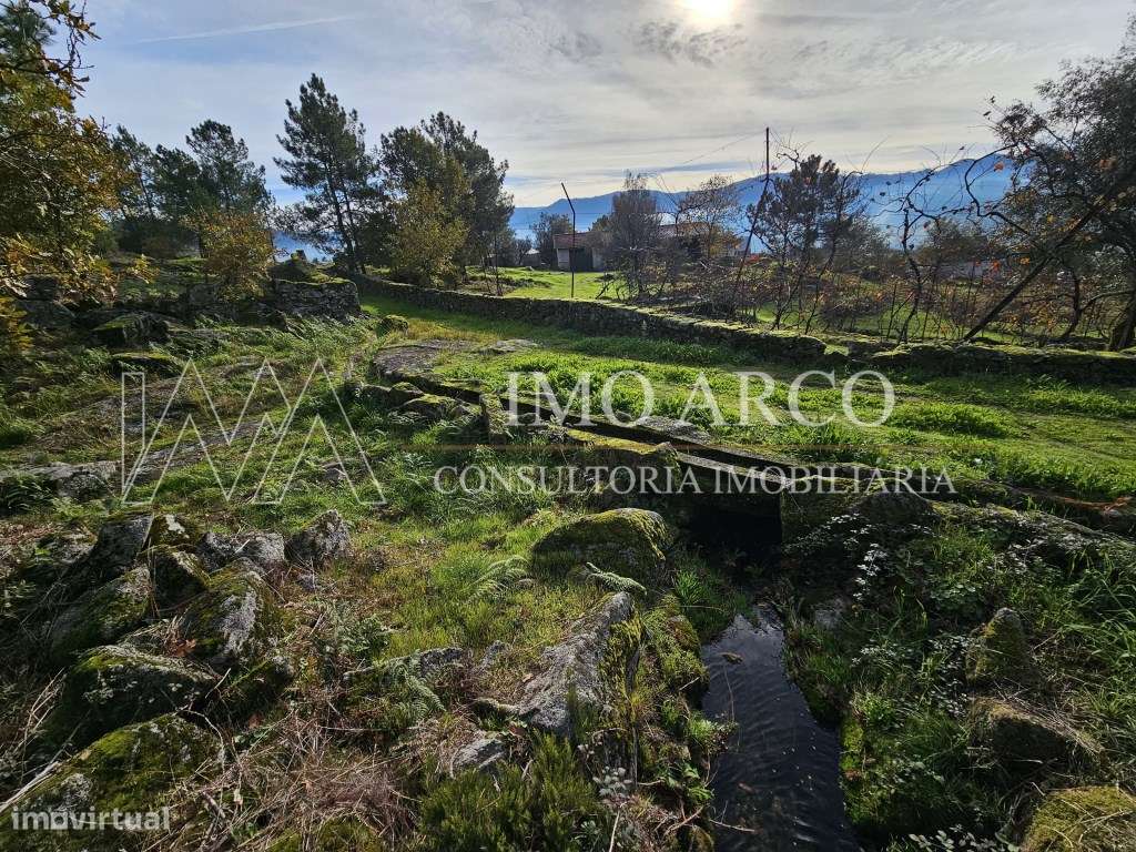Terreno, Olival de Meanhos-17