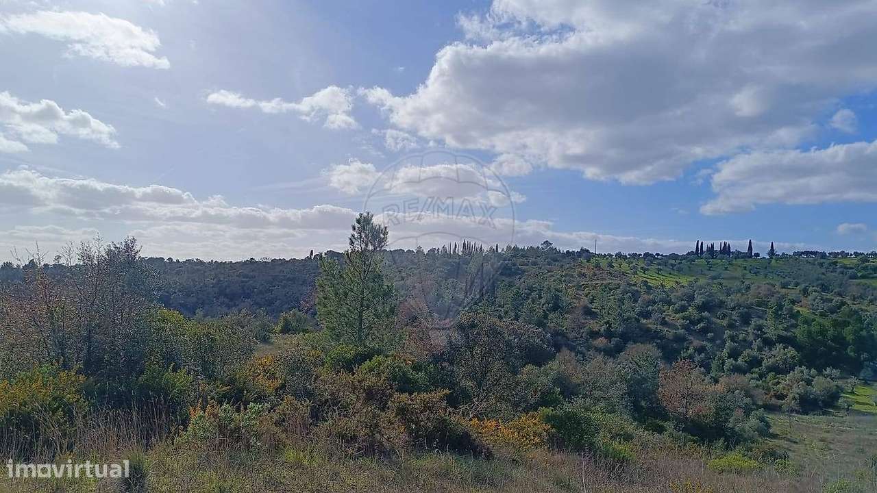 Terreno  para venda - Grande imagem: 5/15