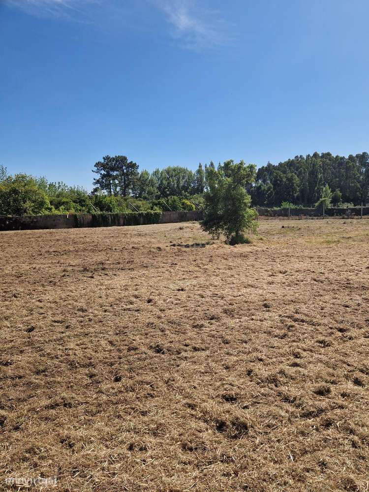 Terreno Urbano em Ovar - Oportunidade Única! - Grande imagem: 5/7