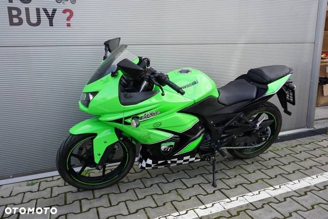 Kawasaki Ninja 250R - 10