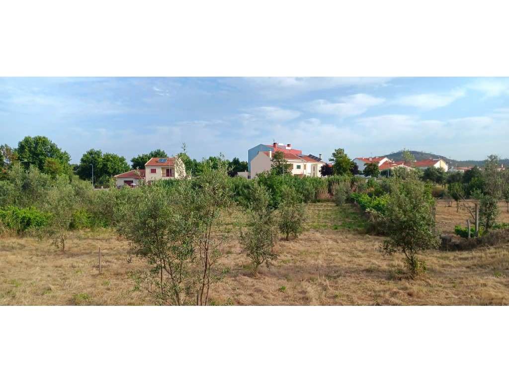 Magnífico Terreno com Viabilidade de Construção no Centro de Mação-10