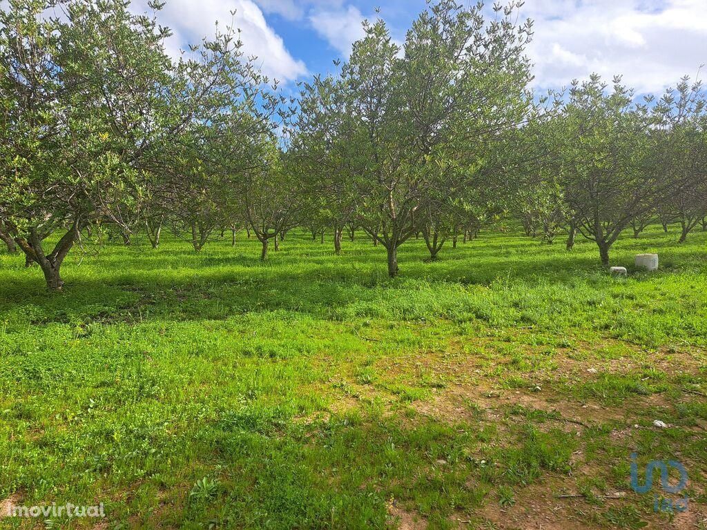 Terreno em Faro de 39940,00 m2