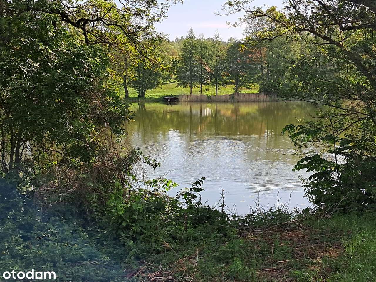 Cierzpięty, dz. 59/10, gm. Orzysz-4