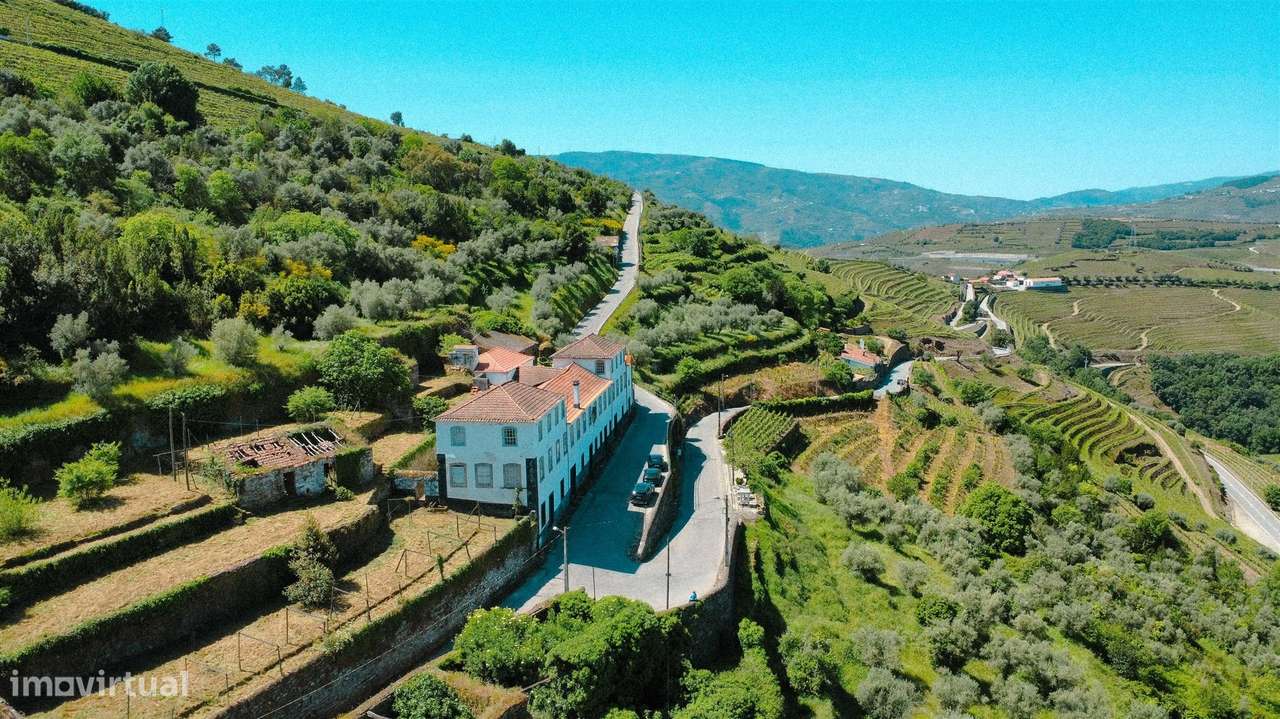 Quinta com Casa senhorial brasonada do Século XVIII na região do Douro-6