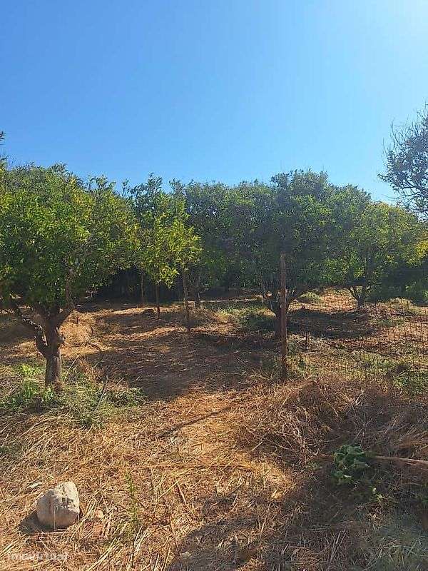 Moradia T3 para venda - Grande imagem: 4/18