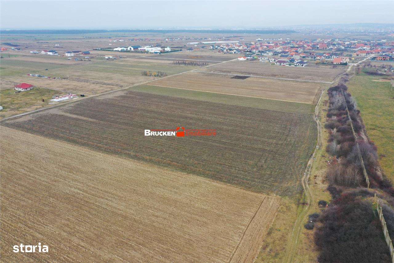 5 PARCELE PENTRU CASA | ZONA REZIDENTIALA I DEZVOLTARE | CIHEI - Imagine principală: 5/7