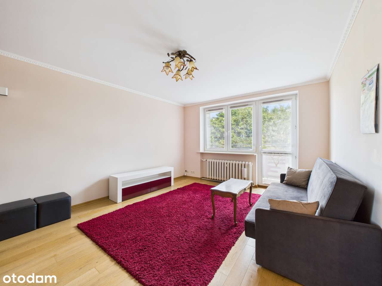 ul. Proletariacka - 49 m2, 2 pokojowe w świetnym miejscu! - Pełny obrazek: 2/20