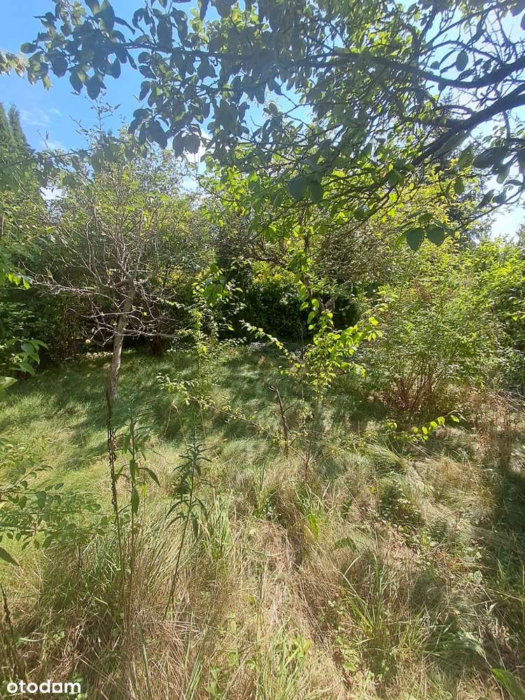 Działka rekreacyjna ,,Relax” Szałe o pow. 400m2 z domkiem murowanym - Pełny obrazek: 4/10