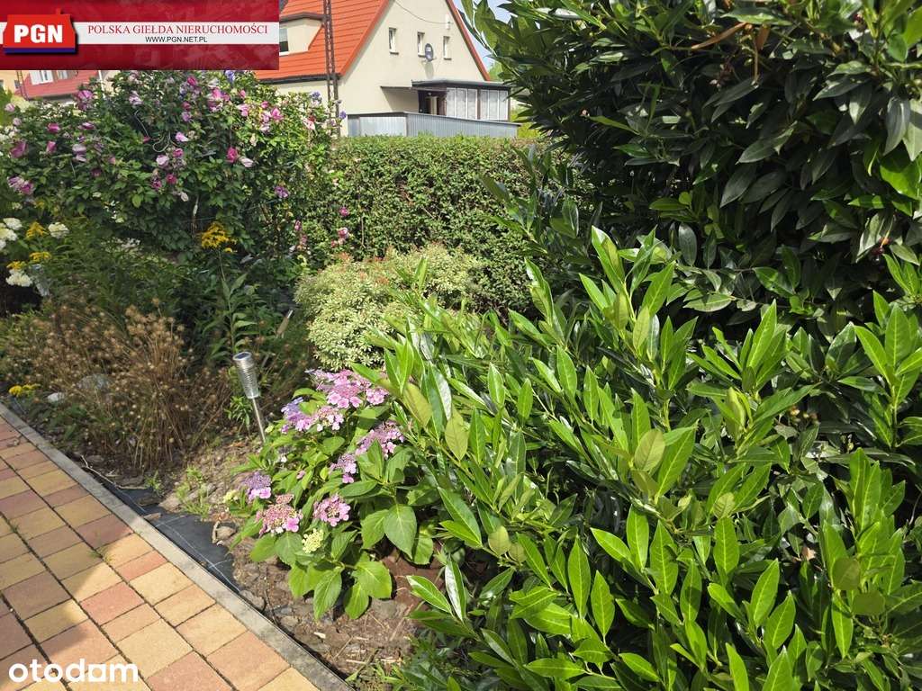 163/14930/ODS - Pełny obrazek: 5/20