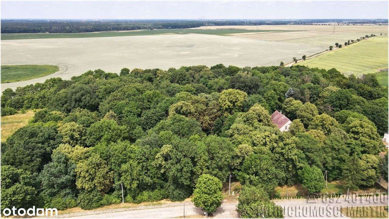 dworek z parkiem 4,1 ha Chlewiska k/Poznania-4