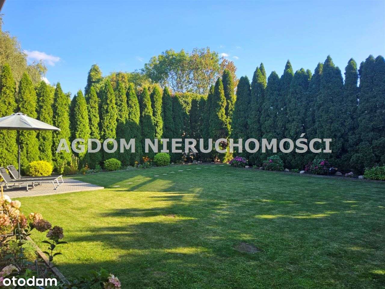 Bardzo ekonomiczny dom w Gołaszewie - Pełny obrazek: 4/20