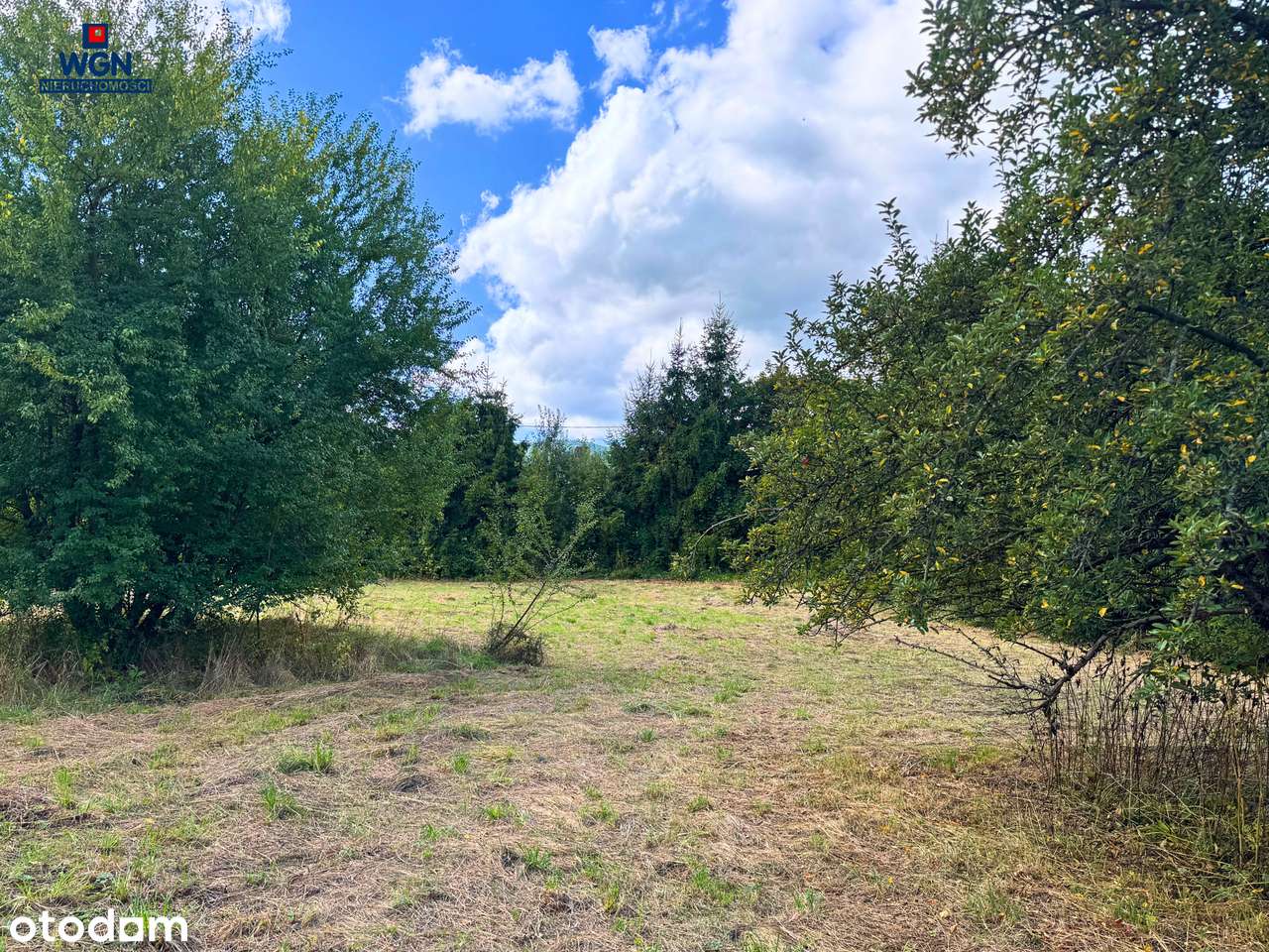 Działka w Starej Łomnicy - idealne miejsce na wymarzony dom. - Pełny obrazek: 3/20