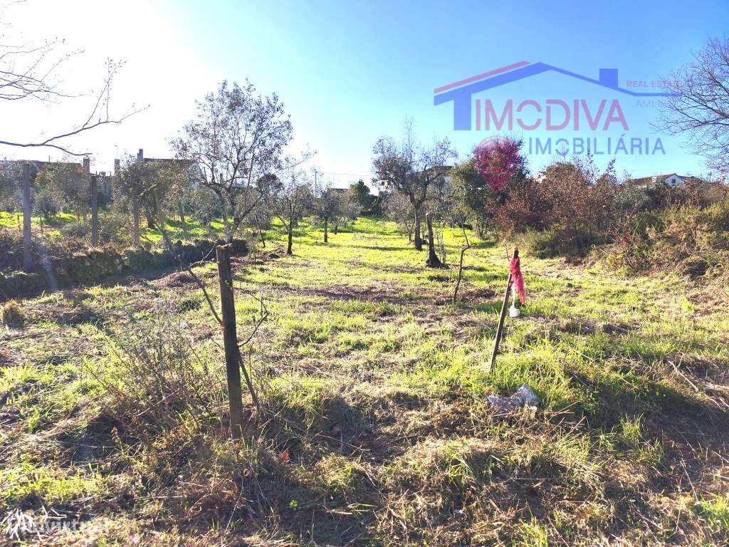 Casa de campo com terreno em Bairradas-23