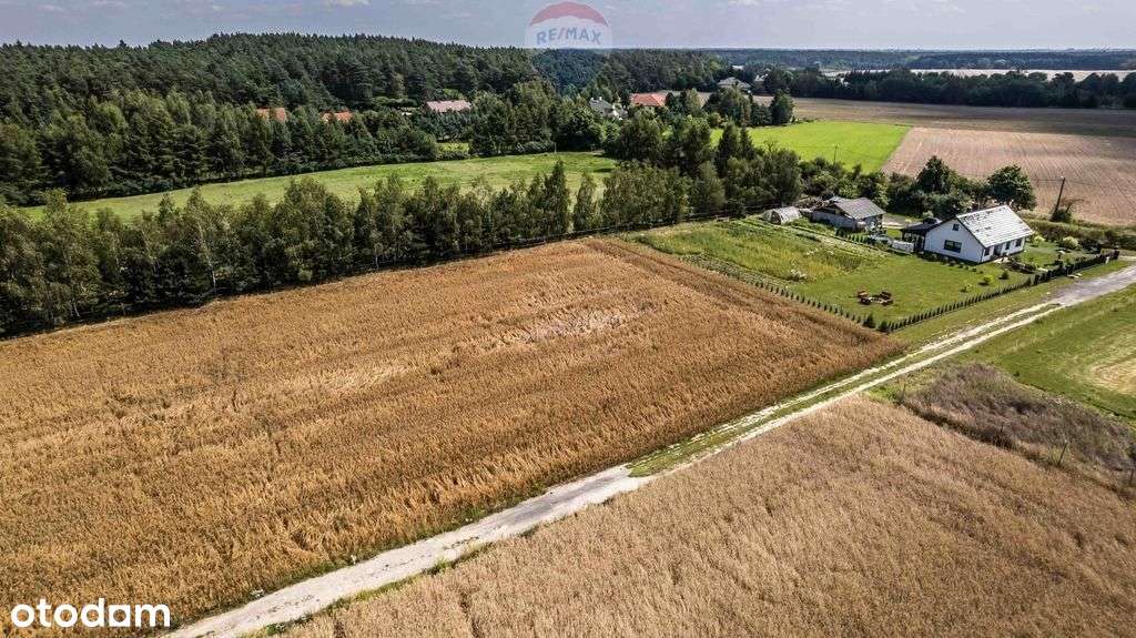 Kicin k/Poznania|3007 m²|Kapitał rosnący w ciszy - Pełny obrazek: 5/20