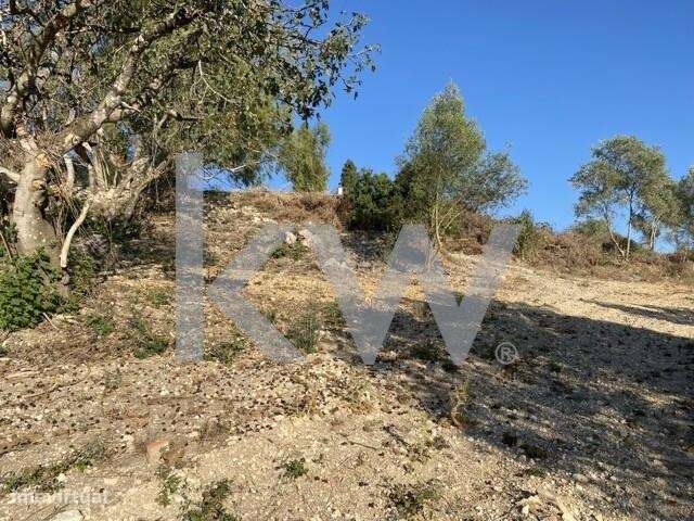 Terreno para Construção + Rústico em Tremês, Santarém - Grande imagem: 4/39