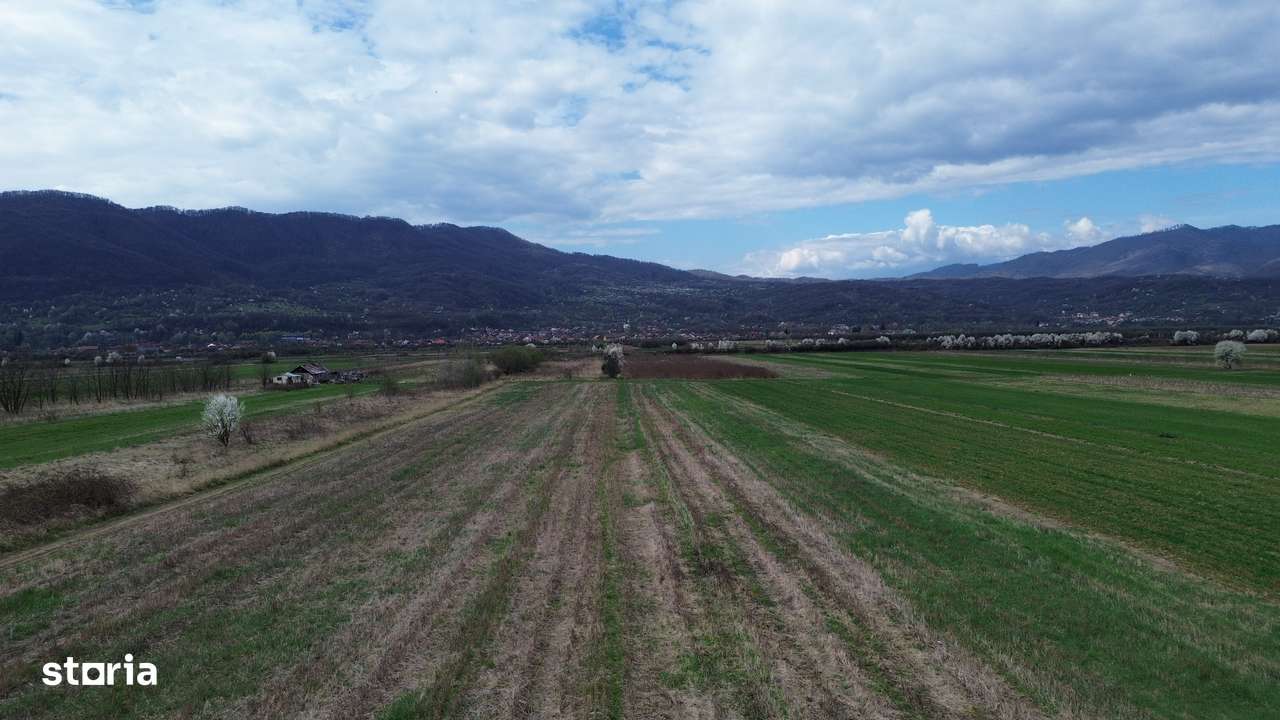 Teren / Jiblea Noua / Calimanesti /-4