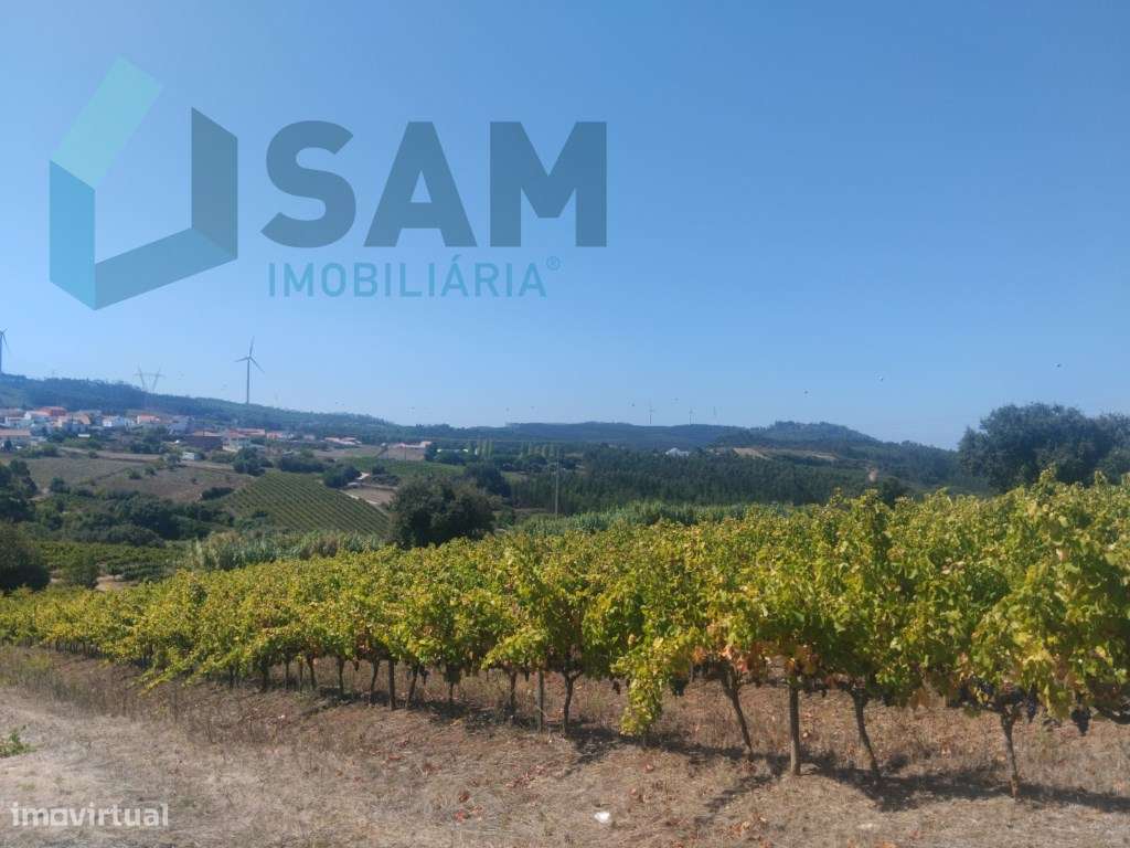 Terreno_Urbanizavel - Grande imagem: 4/4