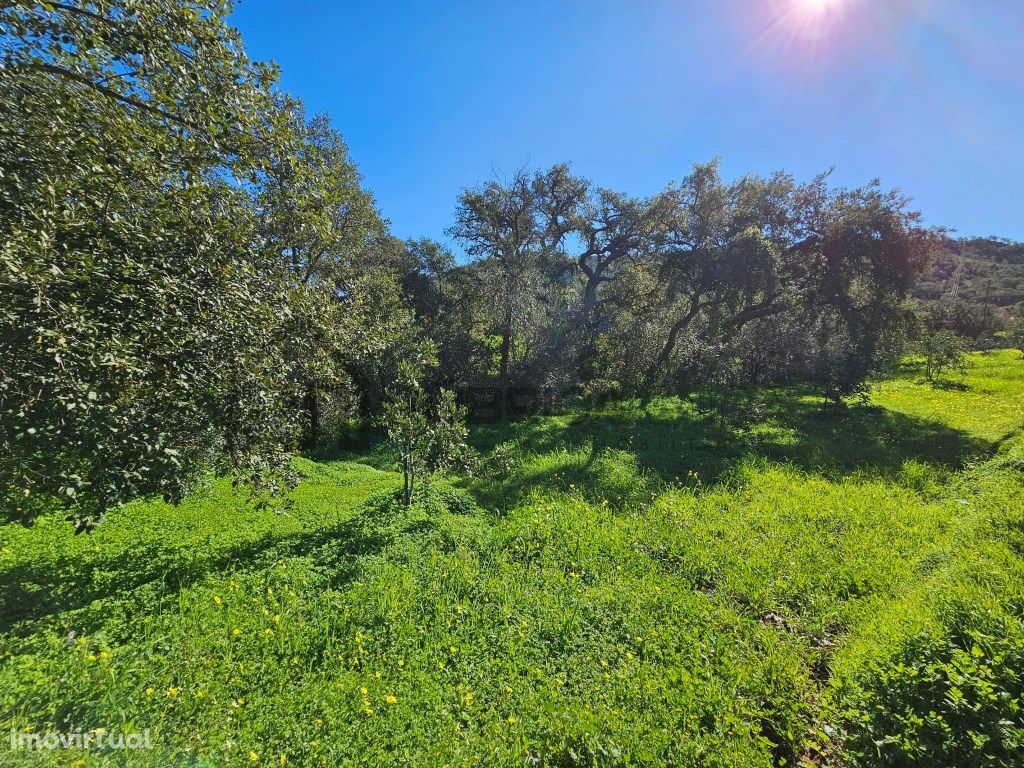 Terreno Urbano tipo C no Sobradinho, Benafim