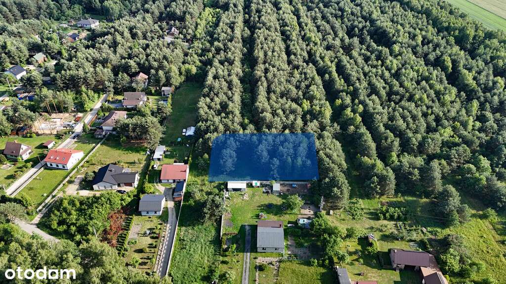 Długi Kąt | Działka budowlana w otoczeniu lasu - Pełny obrazek: 4/6