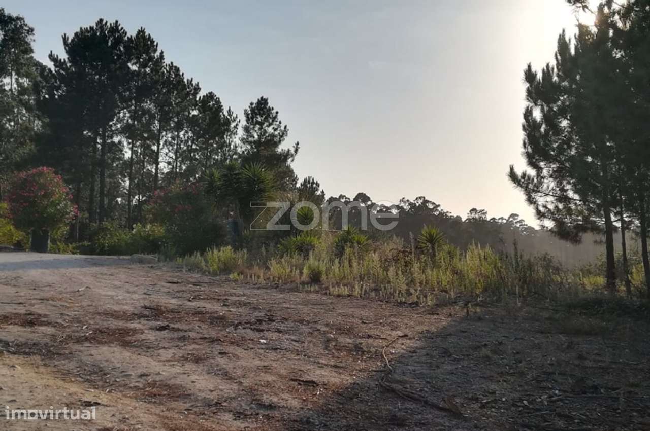 Terreno com 3445m2 na Maceira - Grande imagem: 2/17