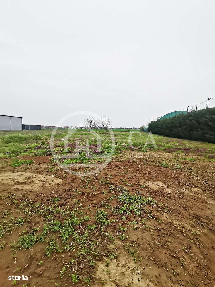 Teren intravilan de inchiriat in Santandrei, Bihor - Imagine principală: 4/5