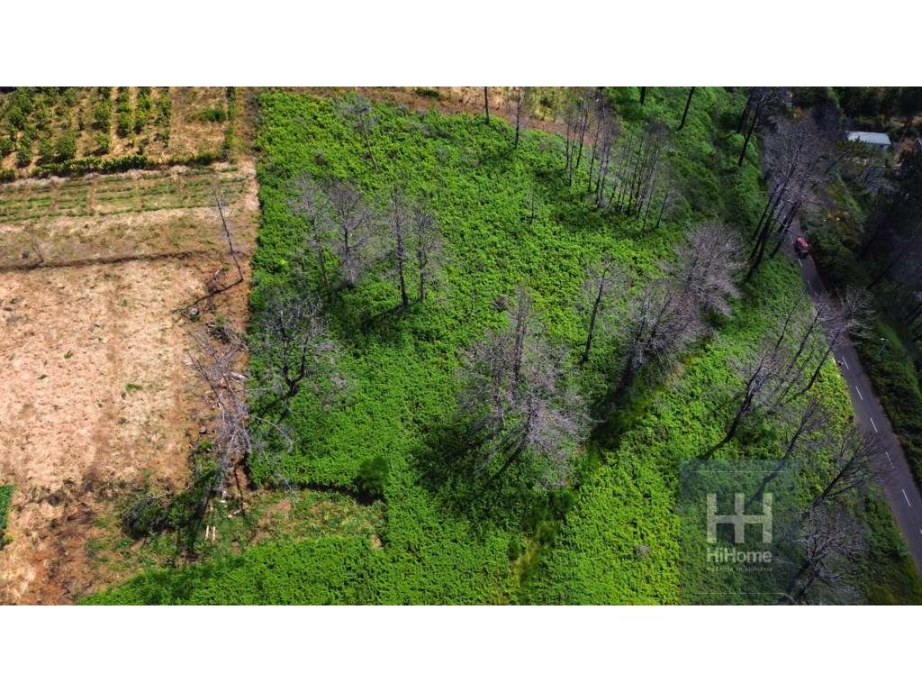 Terreno na Fajã da Ovelha, com capacidade para construção de uma mo... - Grande imagem: 4/36
