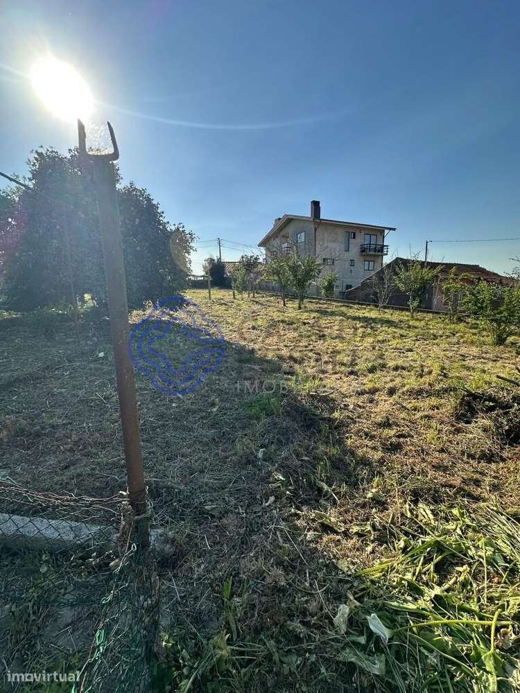 Terreno com Potencial de Construção – Olival | Excelente Oportunidade - Grande imagem: 5/11